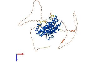 NET1 Protein (AA 1-596) (His tag)