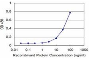 Detection limit for recombinant GST tagged MEOX2 is approximately 3ng/ml as a capture antibody. (MEOX2 Antikörper  (AA 1-303))
