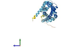 Protein Structure (PS) image for Chemokine (C-C Motif) Receptor 9 (CCR9) (AA 1-369) protein (His tag) (ABIN7556291)