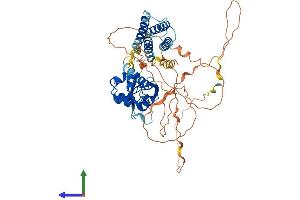 Protein Structure (PS) image for CNKSR Family Member 3 (CNKSR3) (AA 1-555) protein (His tag) (ABIN7558756)