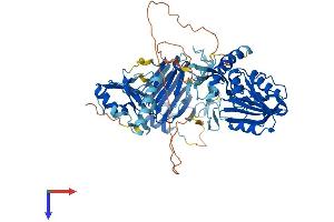 ALKBH8 Protein (AA 1-664) (His tag)