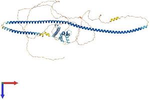 RAB11FIP3 Protein (AA 1-756) (His tag)