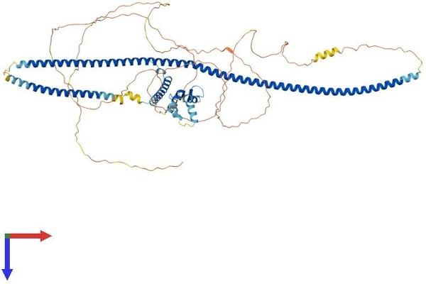 RAB11FIP3 Protein (AA 1-756) (His tag)