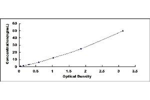 Typical standard curve (CYP46A1 ELISA Kit)