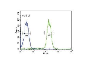 Flow cytometric analysis of MDA-MB435 cells (right histogram) compared to a negative control cell (left histogram). (ABCC3 Antikörper  (AA 899-925))