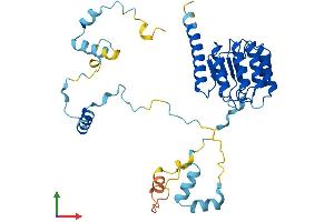 Protein Structure (PS) image for Tropomodulin 3 (TMOD3) (AA 1-352) protein (His tag) (ABIN7561508)