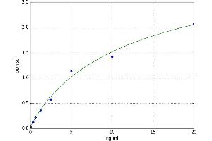 A typical standard curve
