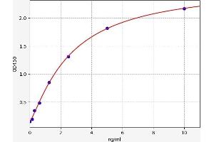 ALDH4A1 ELISA Kit