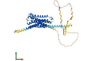 Protein Structure (PS) image for Cholinergic Receptor, Muscarinic 4 (CHRM4) (AA 1-479) protein (His tag) (ABIN7551804)
