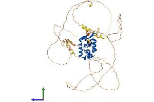 AlphaFold protein structure predicition of Human Recombinant FOXN4 Protein, UniprotID Q96NZ1
