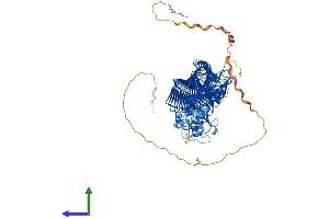 Protein Structure (PS) image for F-Box Protein 11 (FBXO11) (AA 1-927) protein (His tag) (ABIN7553892)