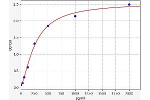 Extracellular Matrix Protein 1 (ECM1) ELISA Kit