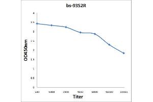 ELISA image for anti-Proteasome Subunit Alpha Type 3 (PSMA3) antibody (ABIN1387808)