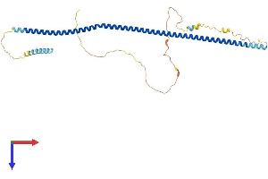 DTNBP1 Protein (AA 1-351) (His tag)