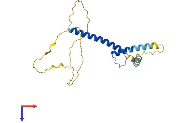 TWIST1 Protein (AA 1-202) (His tag)