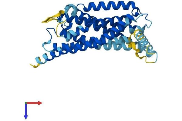 SUCNR1 Protein (AA 1-317) (His tag)