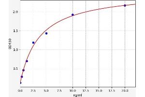 EGR2 ELISA Kit