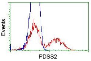 HEK293T cells transfected with either RC207892 overexpress plasmid (Red) or empty vector control plasmid (Blue) were immunostained by anti-PDSS2 antibody (ABIN2455313), and then analyzed by flow cytometry. (PDSS2 Antikörper)