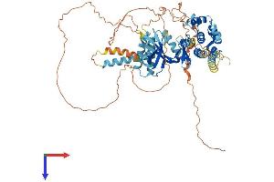 EIF2AK1 Protein (AA 1-630) (His tag)