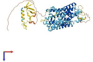 SLC38A9 Protein (AA 1-561) (His tag)
