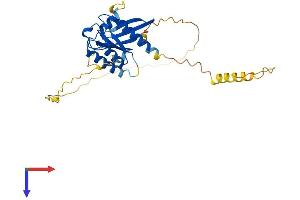 REM1 Protein (AA 1-297) (His tag)