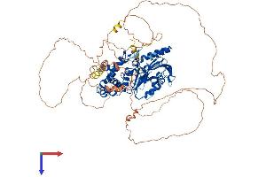DENND1C Protein (AA 1-786) (His tag)
