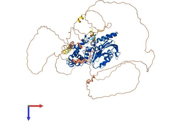 DENND1C Protein (AA 1-786) (His tag)