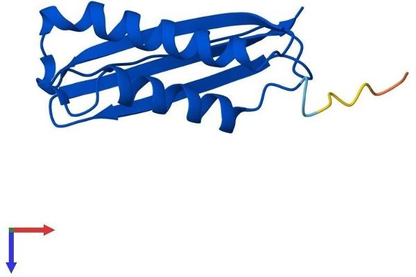 DYNLT1 Protein (AA 1-113) (His tag)