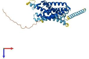 G Protein-Coupled Receptor 33 (Gene/pseudogene) (GPR33) (AA 1-339) protein (His tag)