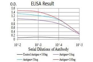 Black line: Control Antigen (100 ng),Purple line: Antigen (10 ng), Blue line: Antigen (50 ng), Red line:Antigen (100 ng) (BAFF Antikörper  (AA 116-278))