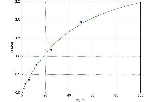 Cytochrome C, Somatic (CYCS) ELISA Kit