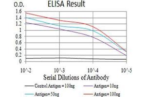 Black line: Control Antigen (100 ng);Purple line: Antigen (10ng); Blue line: Antigen (50 ng); Red line:Antigen (100 ng) (Growth Hormone 1 Antikörper  (AA 1-217))