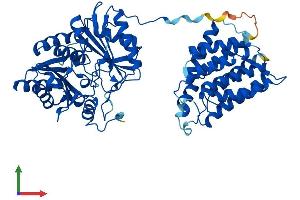 Protein Structure (PS) image for Dihydroxyacetone Kinase 2 Homolog (DAK) (AA 1-578) protein (His tag) (ABIN7559796)