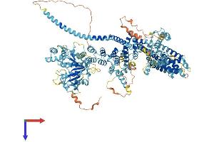 TRPM5 Protein (AA 1-1165) (His tag)