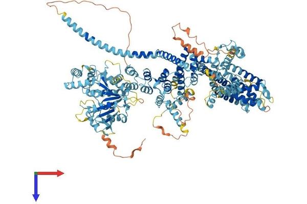 TRPM5 Protein (AA 1-1165) (His tag)