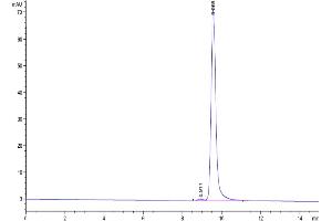 Size-exclusion chromatography-High Pressure Liquid Chromatography (SEC-HPLC) image for Lipocalin 2 (LCN2) (AA 21-198) protein (His tag) (ABIN7275320)