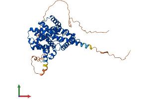 AlphaFold protein structure predicition of Mouse Recombinant Pde7b Protein, UniprotID Q9QXQ1