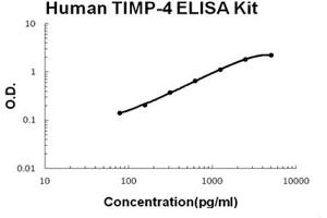 Human TIMP-4 Accusignal ELISA Kit Human TIMP-4 AccuSignal ELISA Kit standard curve. (TIMP4 ELISA Kit)