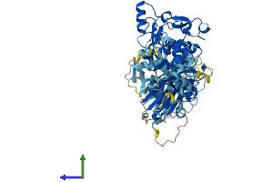 Protein Structure (PS) image for Calpain 12 (CAPN12) (AA 1-719) protein (His tag) (ABIN7552798)