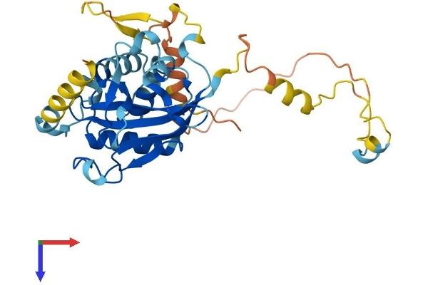 ATG3 Protein (AA 1-314) (His tag)