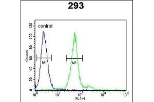 TPSAB1 Antibody (Center) (ABIN651632 and ABIN2850540) flow cytometric analysis of 293 cells (right histogram) compared to a negative control cell (left histogram).