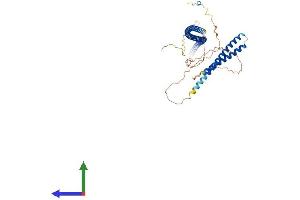Protein Structure (PS) image for Centrosomal Protein 57kDa-Like 1 (CEP57L1) (AA 1-460) protein (His tag) (ABIN7553346)