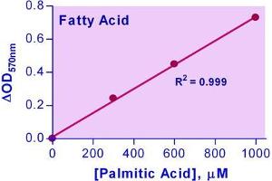 Biochemical Assay (BCA) image for Free Fatty Acid Assay Kit (ABIN1000307) (Free Fatty Acid Assay Kit)