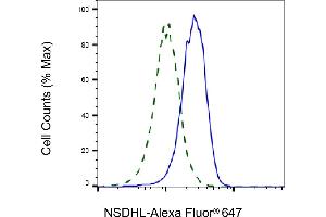 Validation of NSDHL knockdown using flow cytometry.