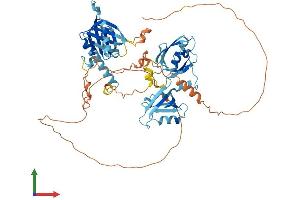Protein Structure (PS) image for Amyloid beta (A4) Precursor Protein-Binding, Family A, Member 3 (APBA3) (AA 1-571) protein (His tag) (ABIN7562683)