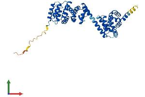Protein Structure (PS) image for Basic Leucine Zipper and W2 Domains 1 (BZW1) (AA 1-419) protein (His tag) (ABIN7560529)