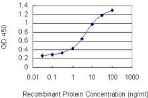 Detection limit for recombinant GST tagged BCL11A is 0.