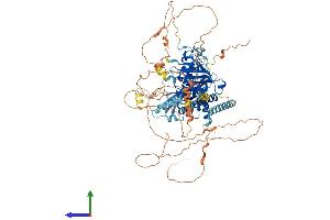 Protein Structure (PS) image for DDHD Domain Containing 1 (DDHD1) (AA 1-900) protein (His tag) (ABIN7553682)