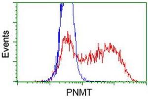 Flow Cytometry (FACS) image for anti-Phenylethanolamine N-Methyltransferase (PNMT) antibody (ABIN1500309) (PNMT Antikörper)