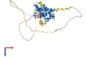 MCL-1 Protein (AA 1-331) (His tag)